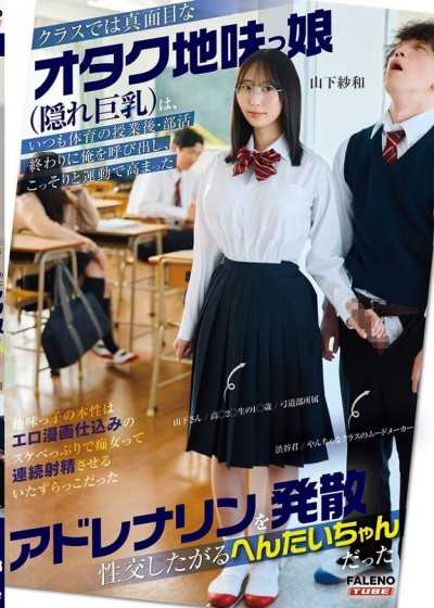 課堂上認真害羞的書呆子女孩（隱藏著巨乳），總是在體育課後或社團活動結束後叫我出來，暗地裡想要和我做愛以釋放運動後高漲的腎上腺素的變態小姐。山下紗和